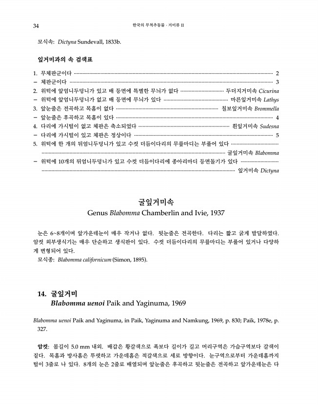 34페이지