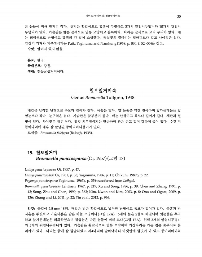 35페이지
