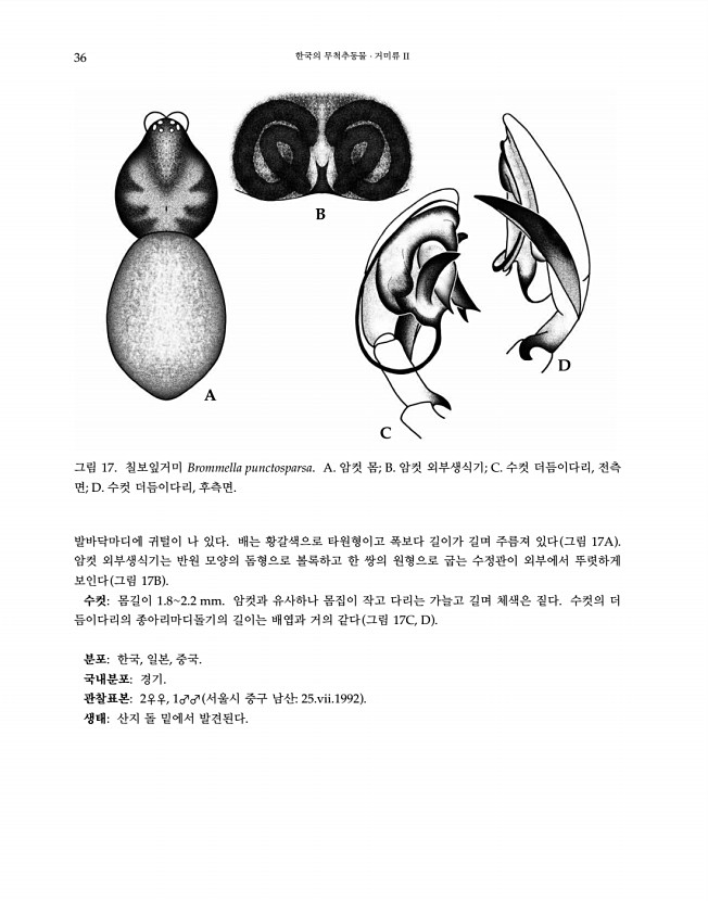 36페이지