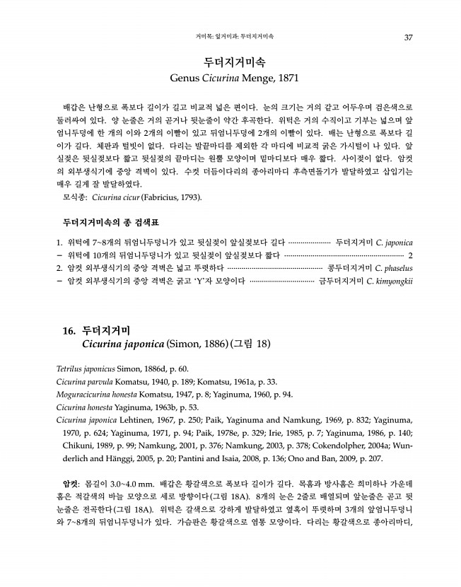 37페이지