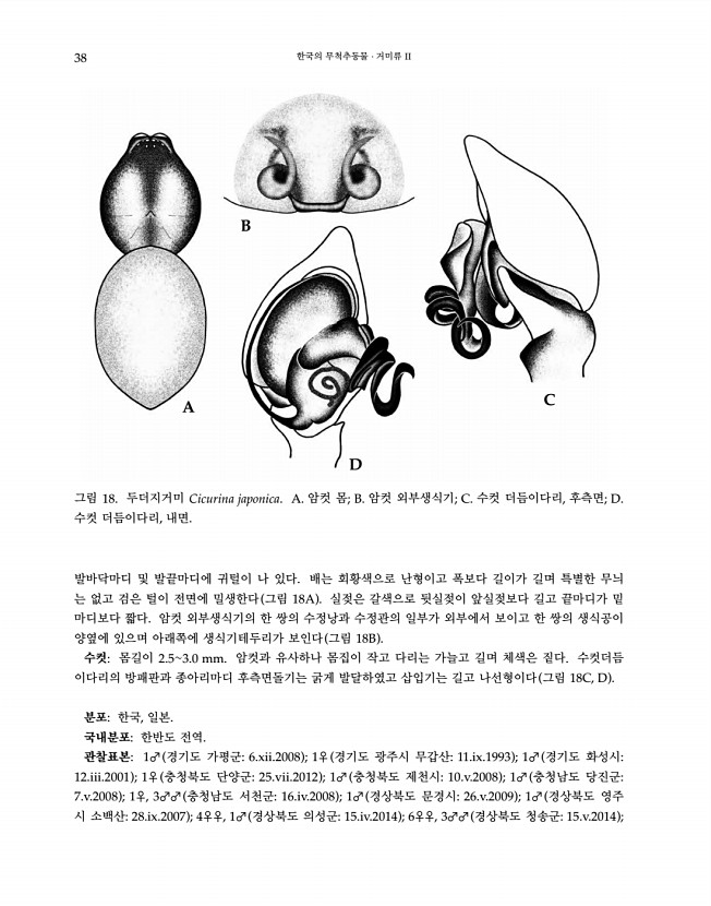 38페이지