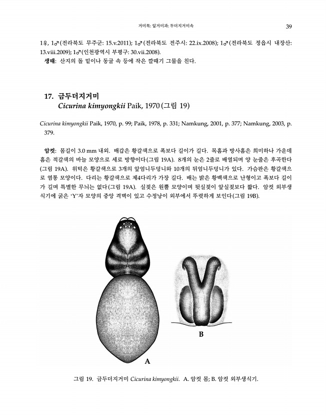 39페이지