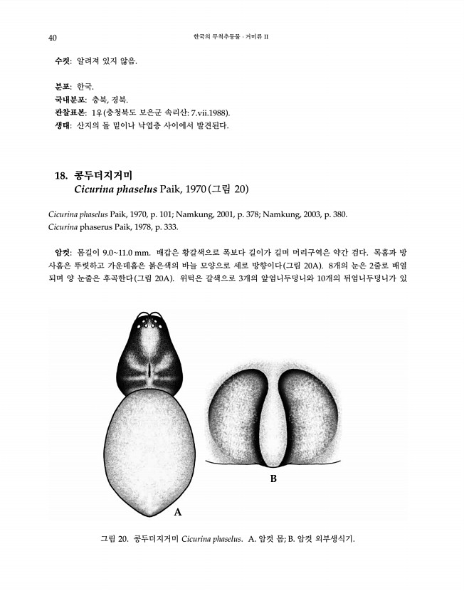 40페이지