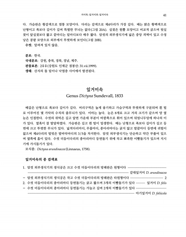41페이지