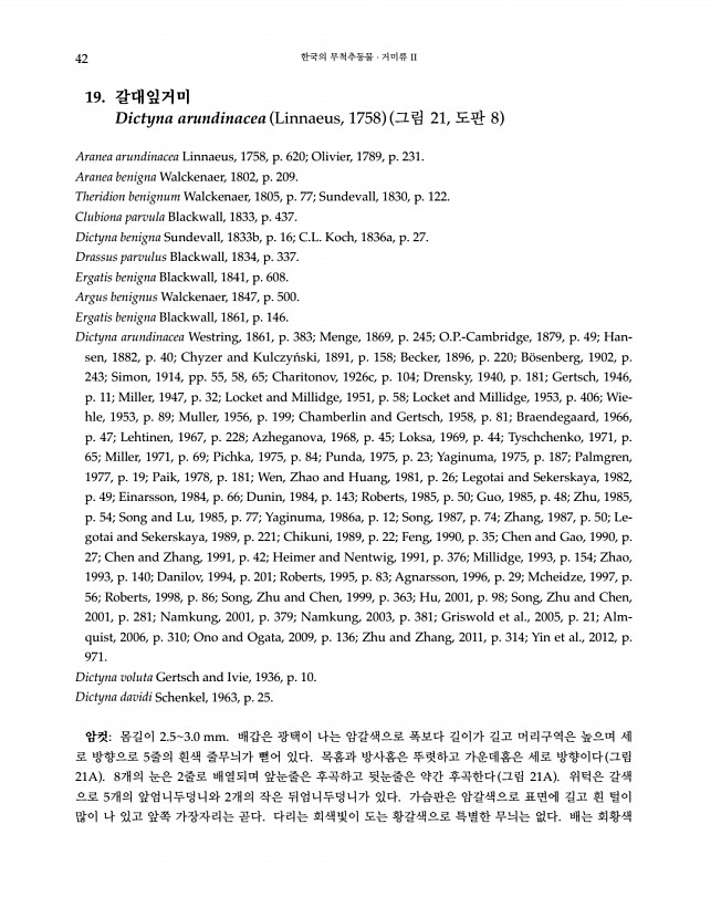 42페이지