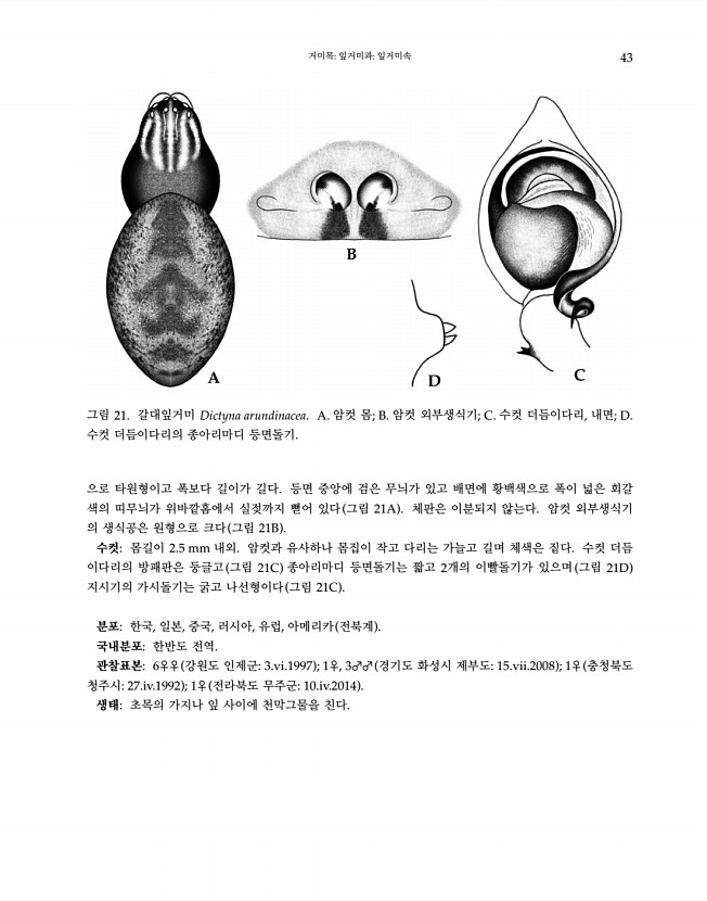 43페이지