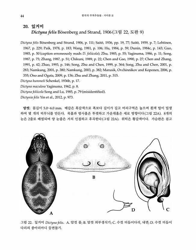 44페이지