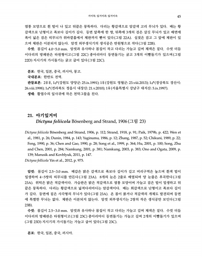 45페이지