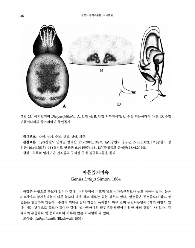 46페이지