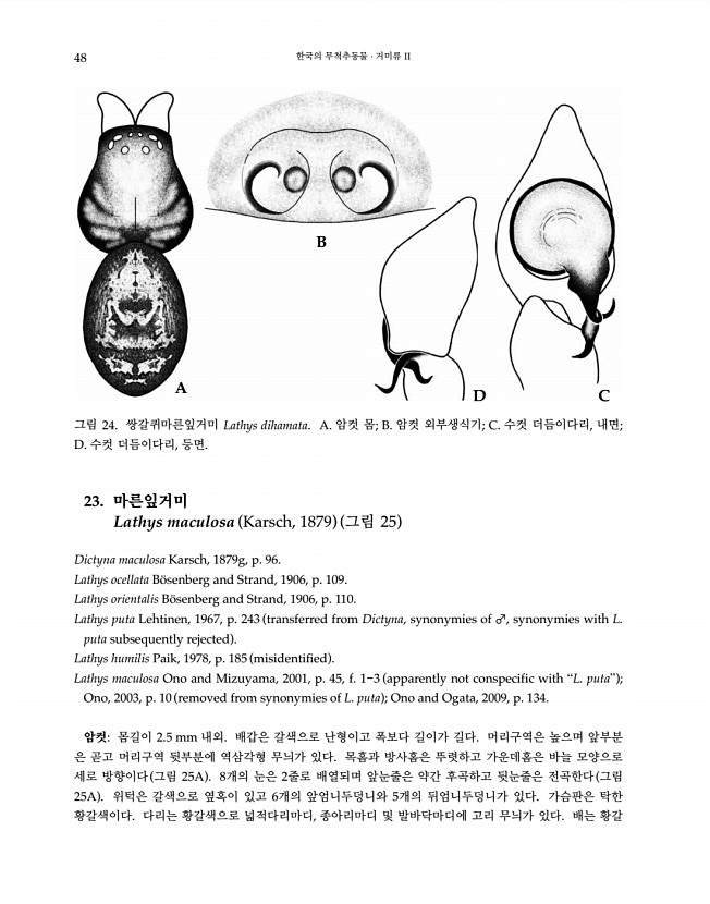 48페이지