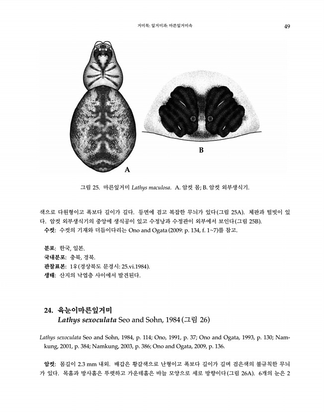 49페이지