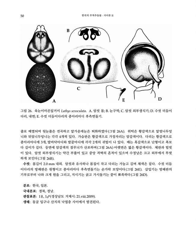 50페이지