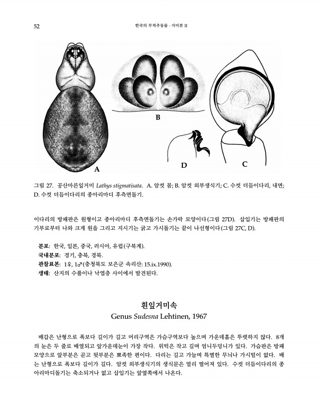 52페이지