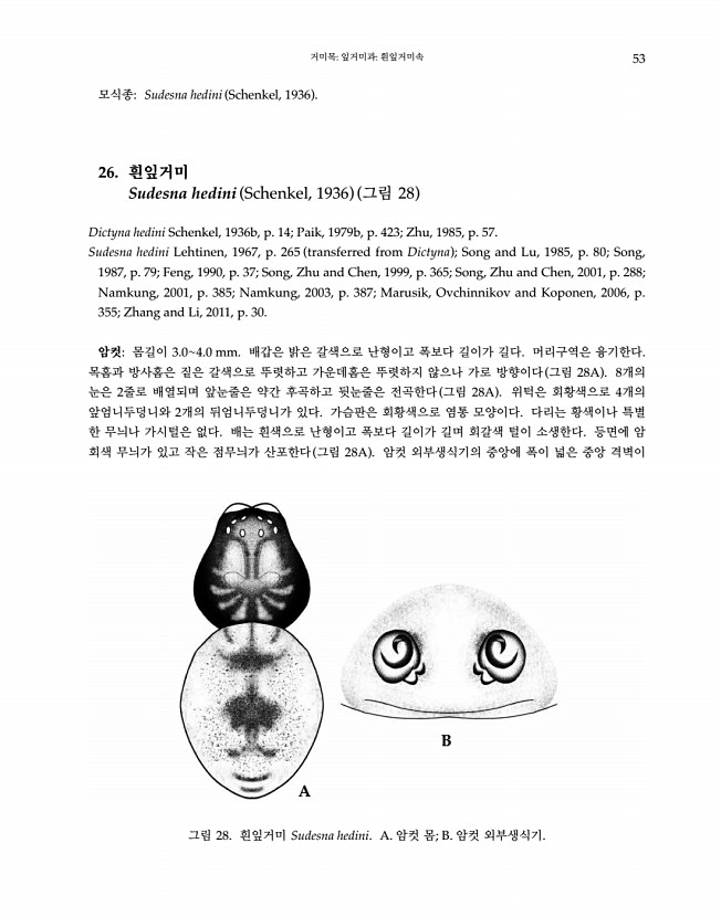 53페이지