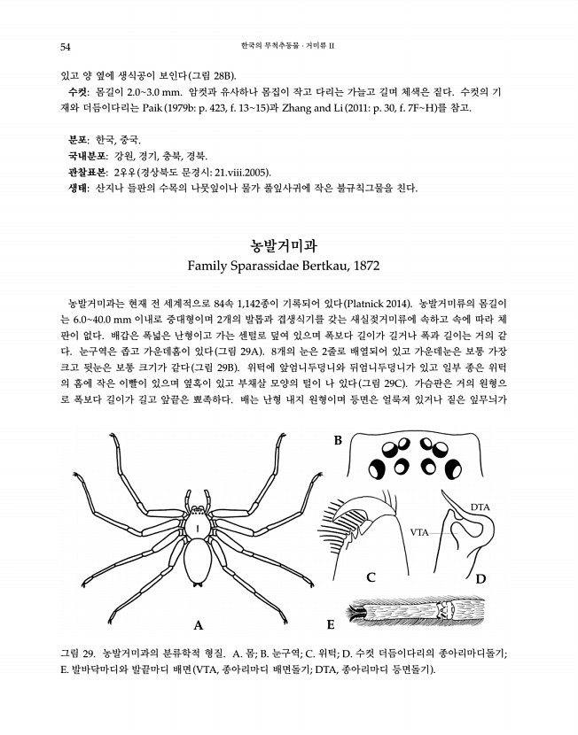 54페이지