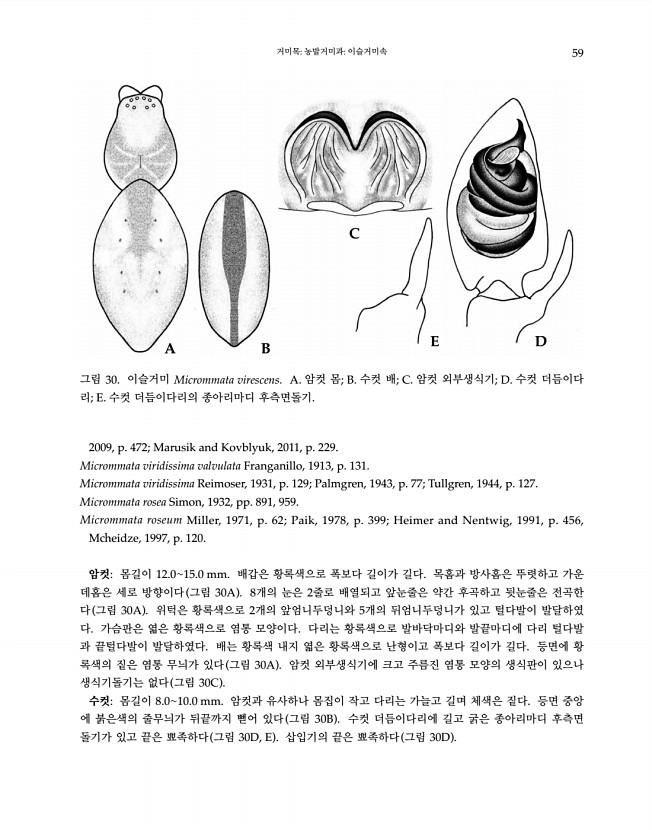 59페이지