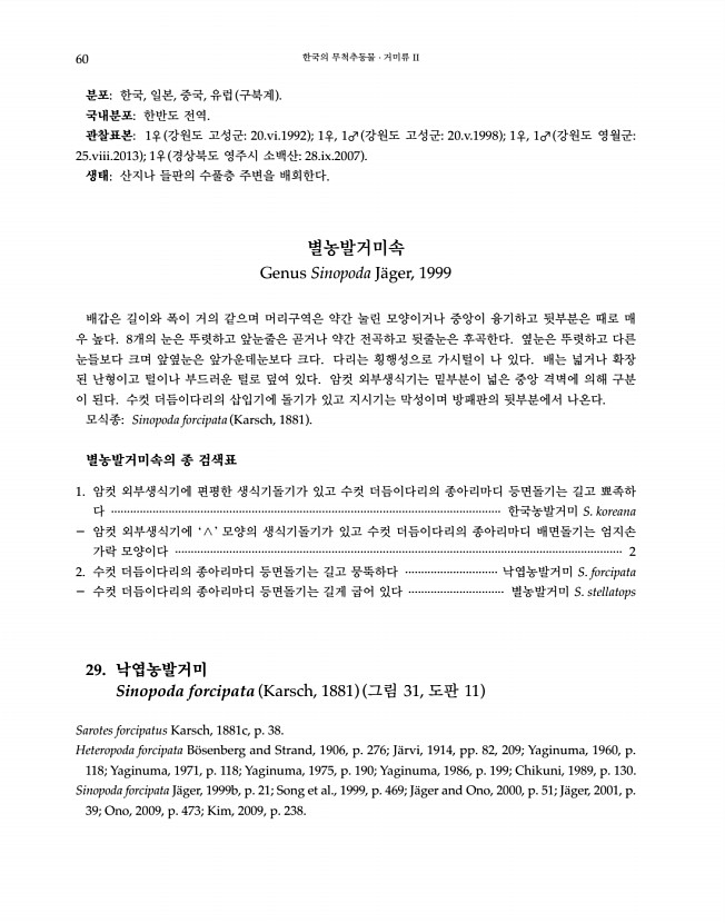 60페이지