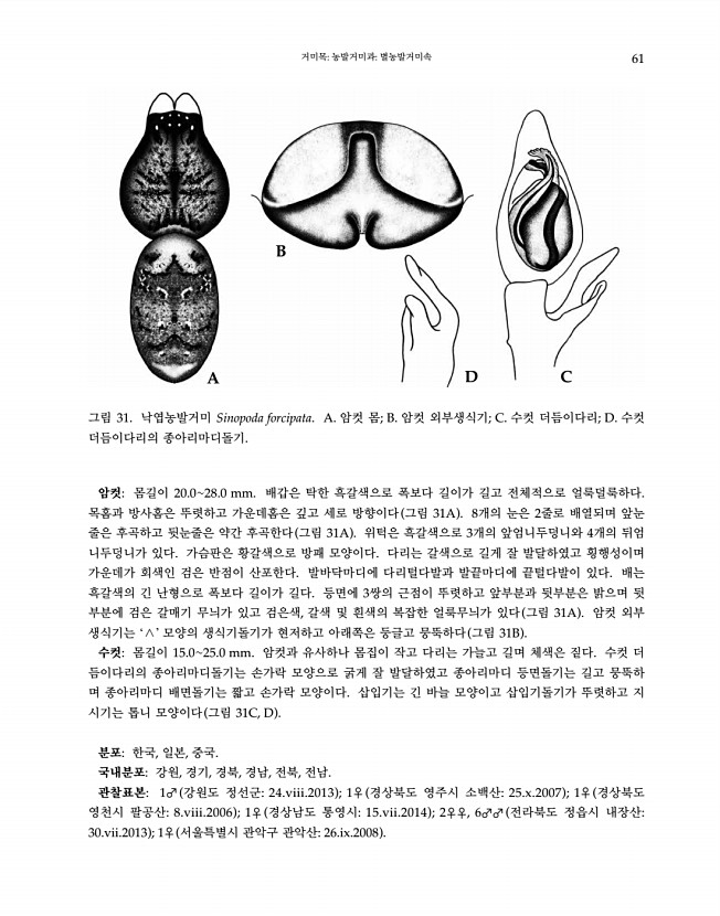 61페이지