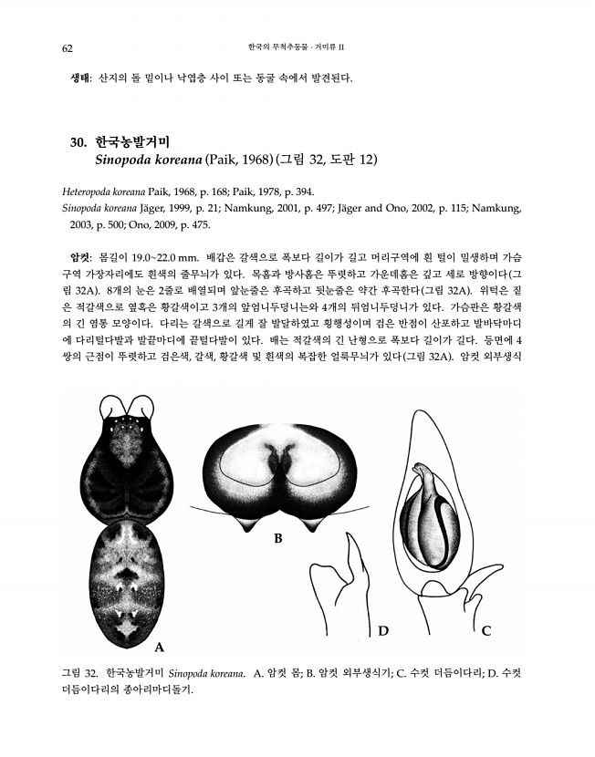 62페이지