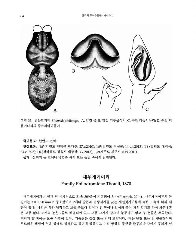 64페이지