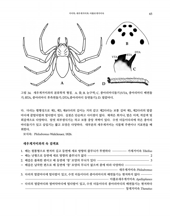 65페이지