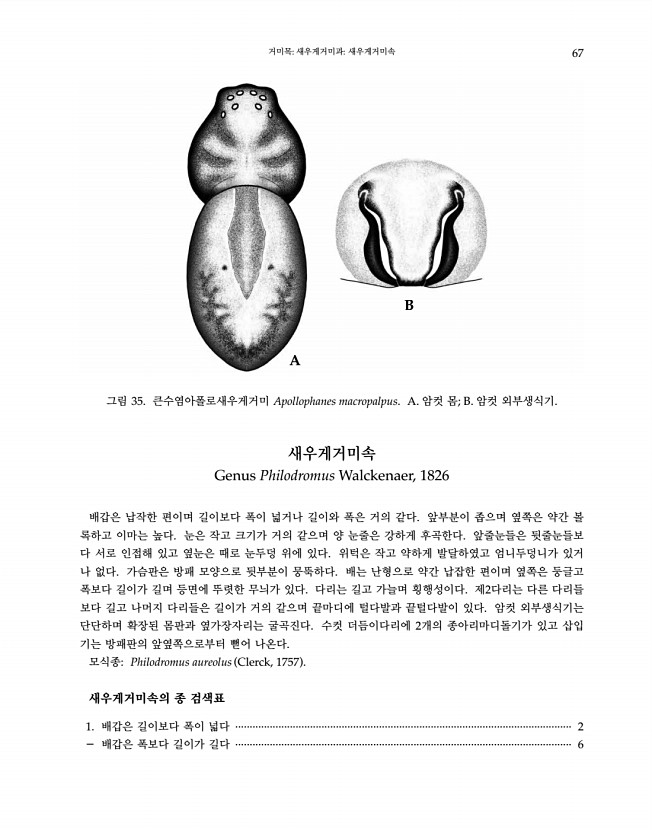67페이지