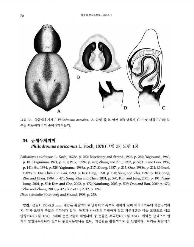 70페이지