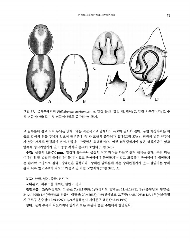 71페이지
