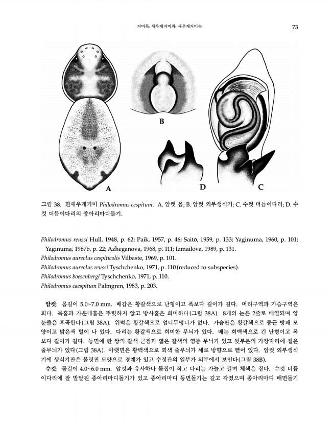 73페이지