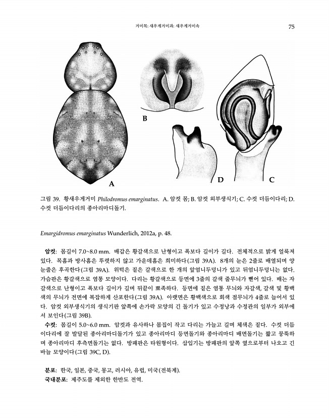 75페이지