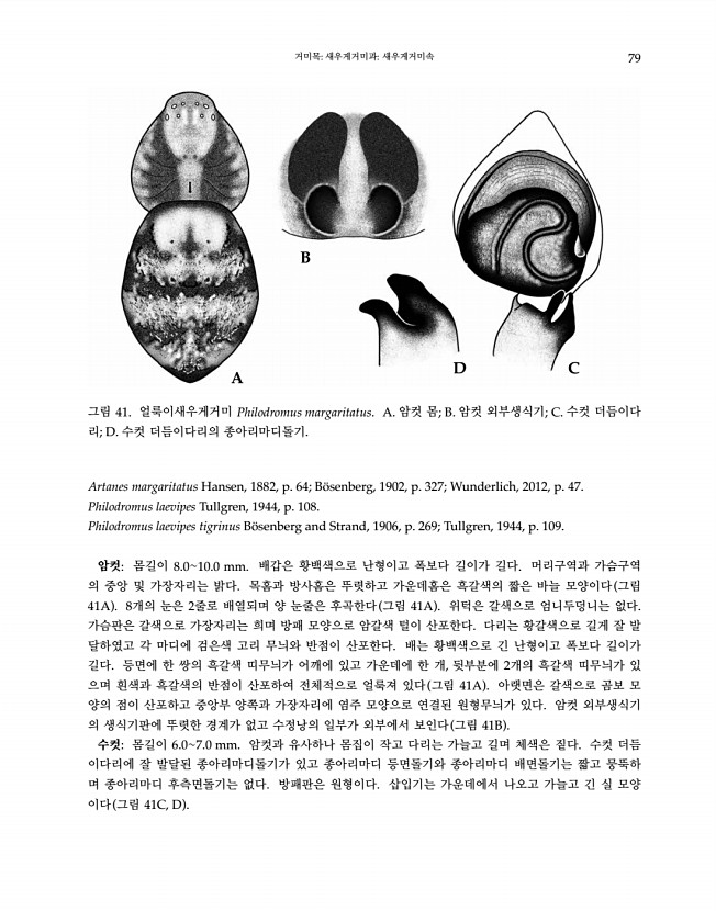 79페이지
