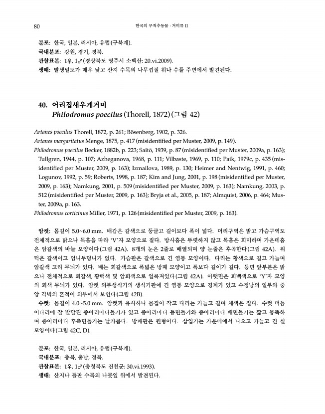 80페이지