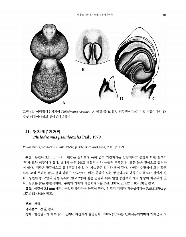 81페이지