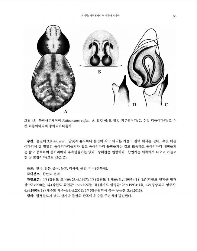 83페이지