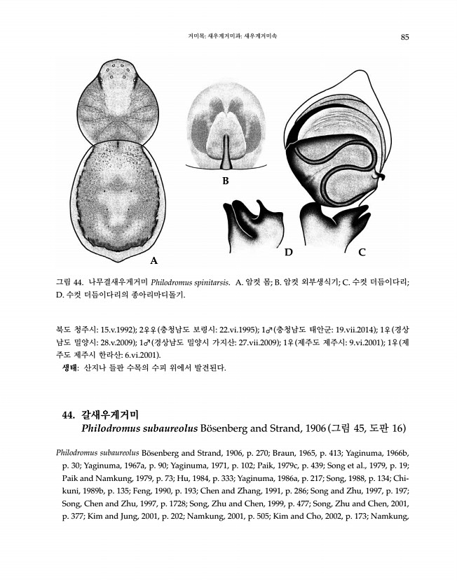 85페이지