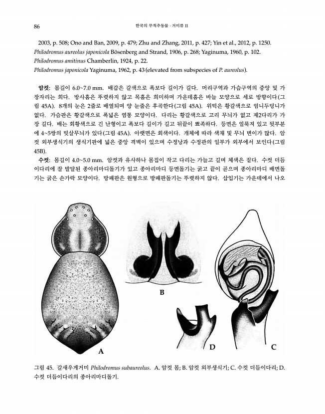 86페이지