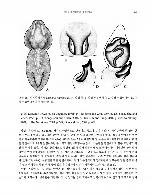 91페이지