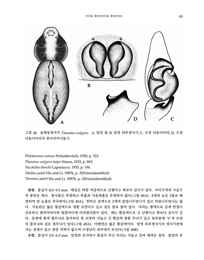 93페이지