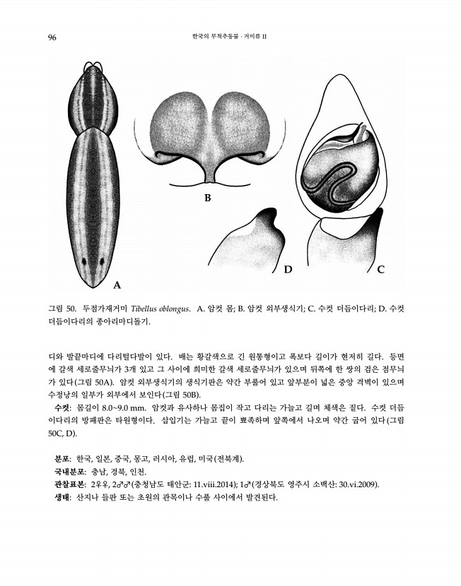 96페이지