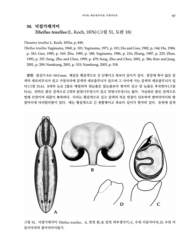 97페이지