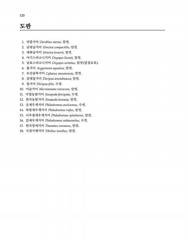 120페이지