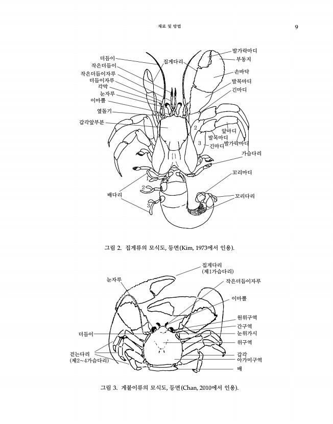 9페이지