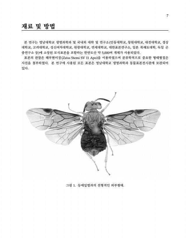 7페이지
