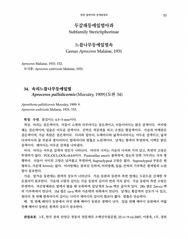 53페이지