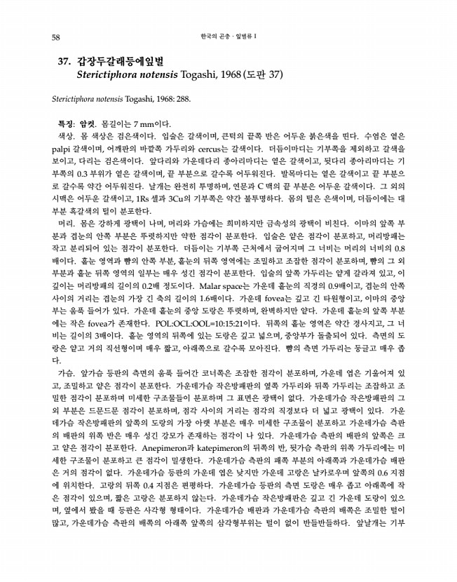58페이지