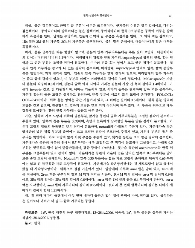 61페이지