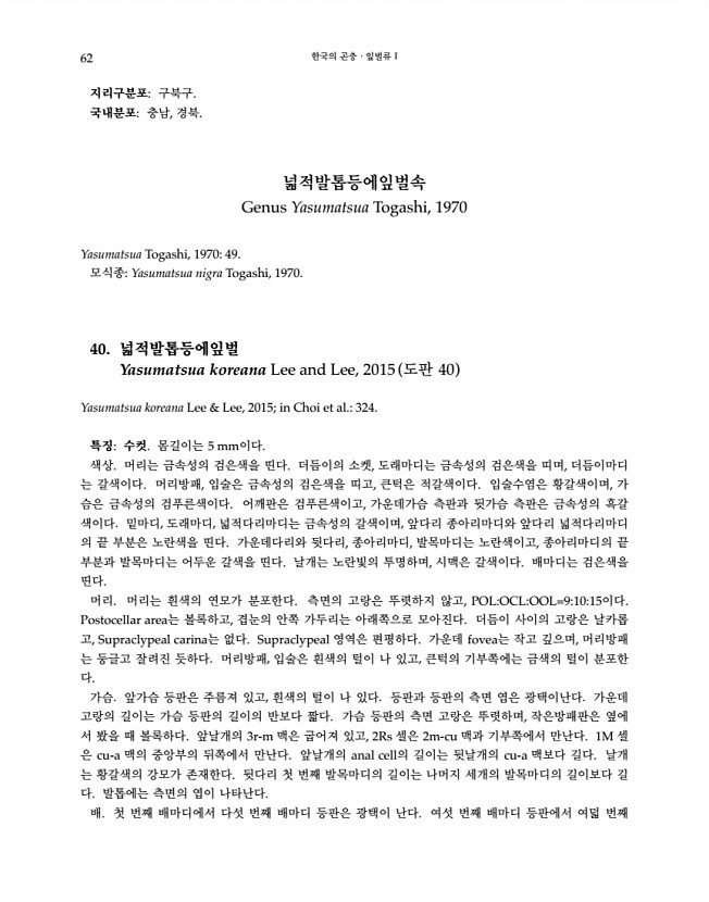 62페이지