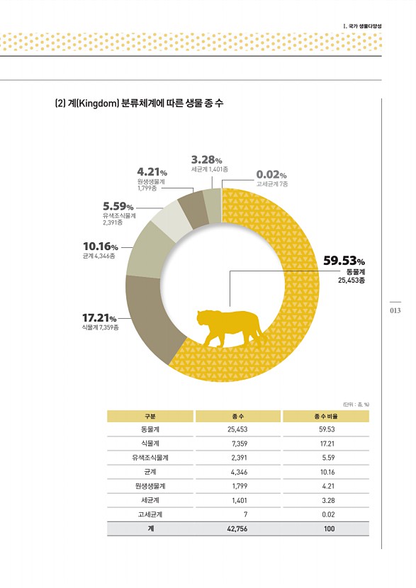 13페이지