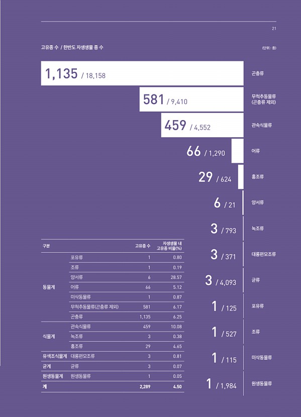 21페이지