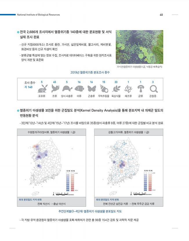 40페이지